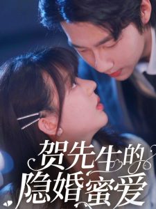 賀先生的隱婚蜜愛(ài)