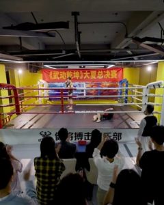 武馳人生2之颶風營救
